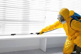 Best Termite Inspection and Treatment  in Mountain Home, AR